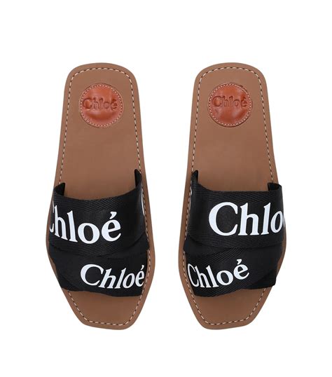 chloe woody logo slides.